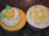 A pair of beautifully crafted vanilla cupcakes