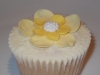 Vanilla Cupcakes 