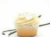 Vanilla Cupcake