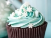 Christmas cupcake